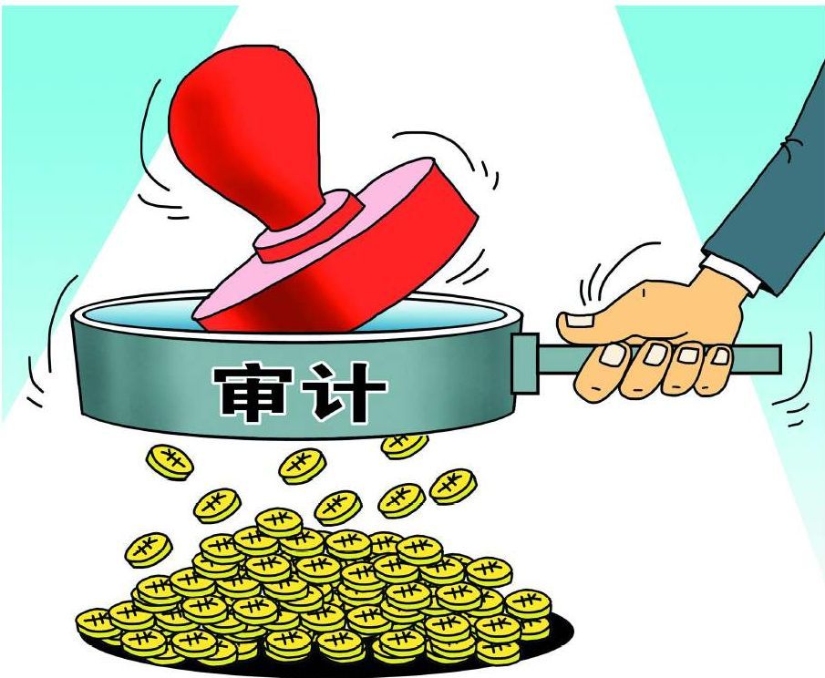 審計,的,本質(zhì),是什么,審計,的,本質(zhì),是什么,。,
