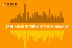 我國政府審計常用的經(jīng)濟(jì)責(zé)任指標(biāo)有哪些